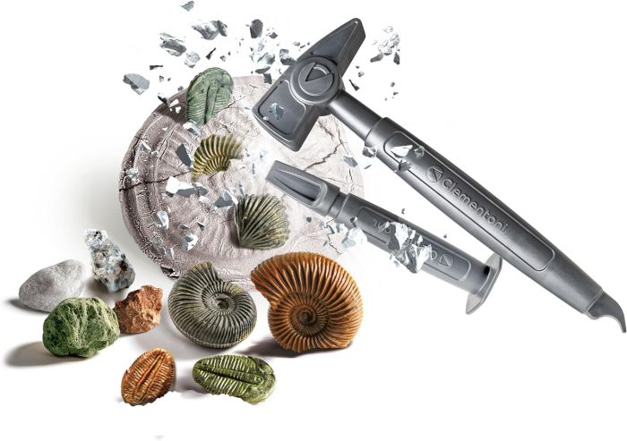 Clementoni Fossili Scienza E Gioco Fossili E Minerali