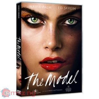 The Model