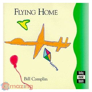 Flying Home