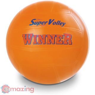 Pallone Volley Winner