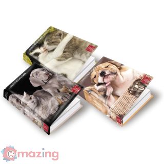Diario 12 mesi dolci cuccioli