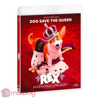 Rex. Un cucciolo a palazzo