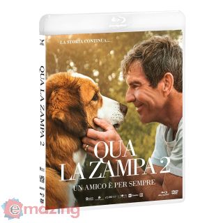 Qua la zampa 2. Un amico è per sempre DVD + Blu-ray