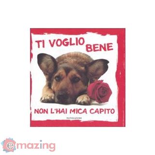 Ti voglio bene non l'hai mica capito