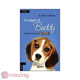Il Viaggio di Buddy