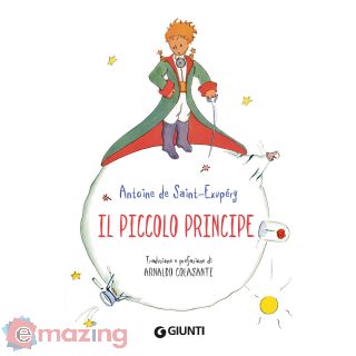 Il Piccolo Principe