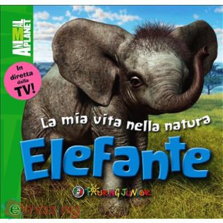 Elefante