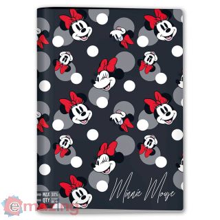 Maxi Quaderno Righe B 96/100 Ass.