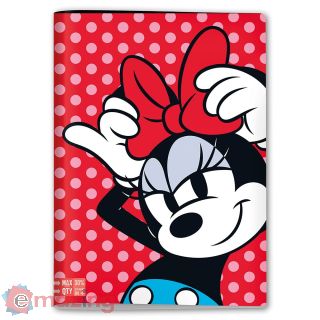 Maxi Quaderno Righe C 96/100 Ass.