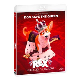 Rex. Un cucciolo a palazzo