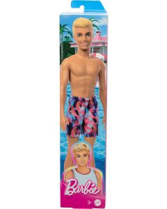 Barbie ken beach 30 cm